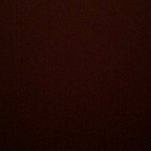 Meet your Posher, Brady